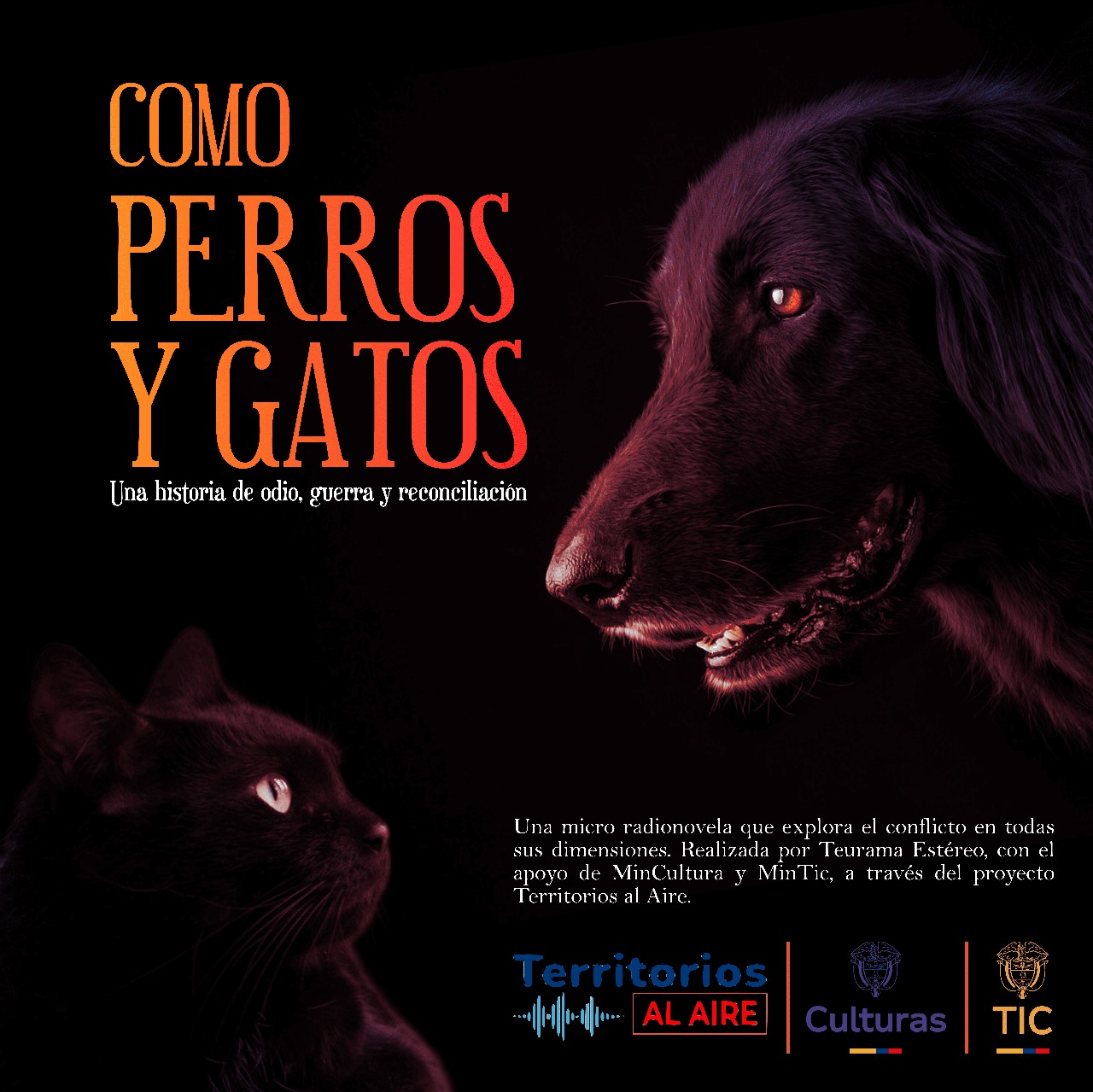 MICRO RADIONOVELAS COMO PERROS Y GATOS